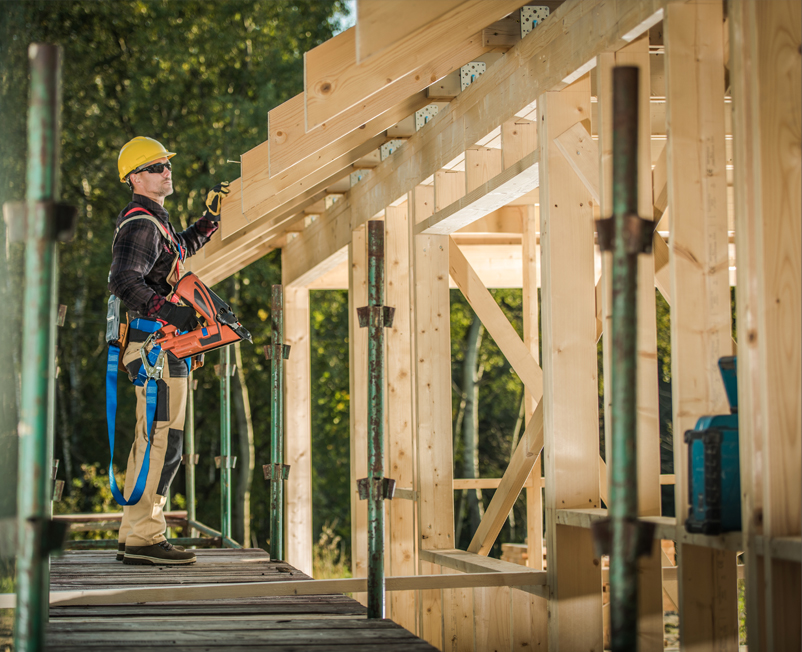 Construction professional